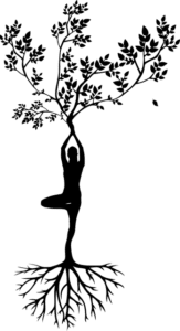 L'arbre du yoga